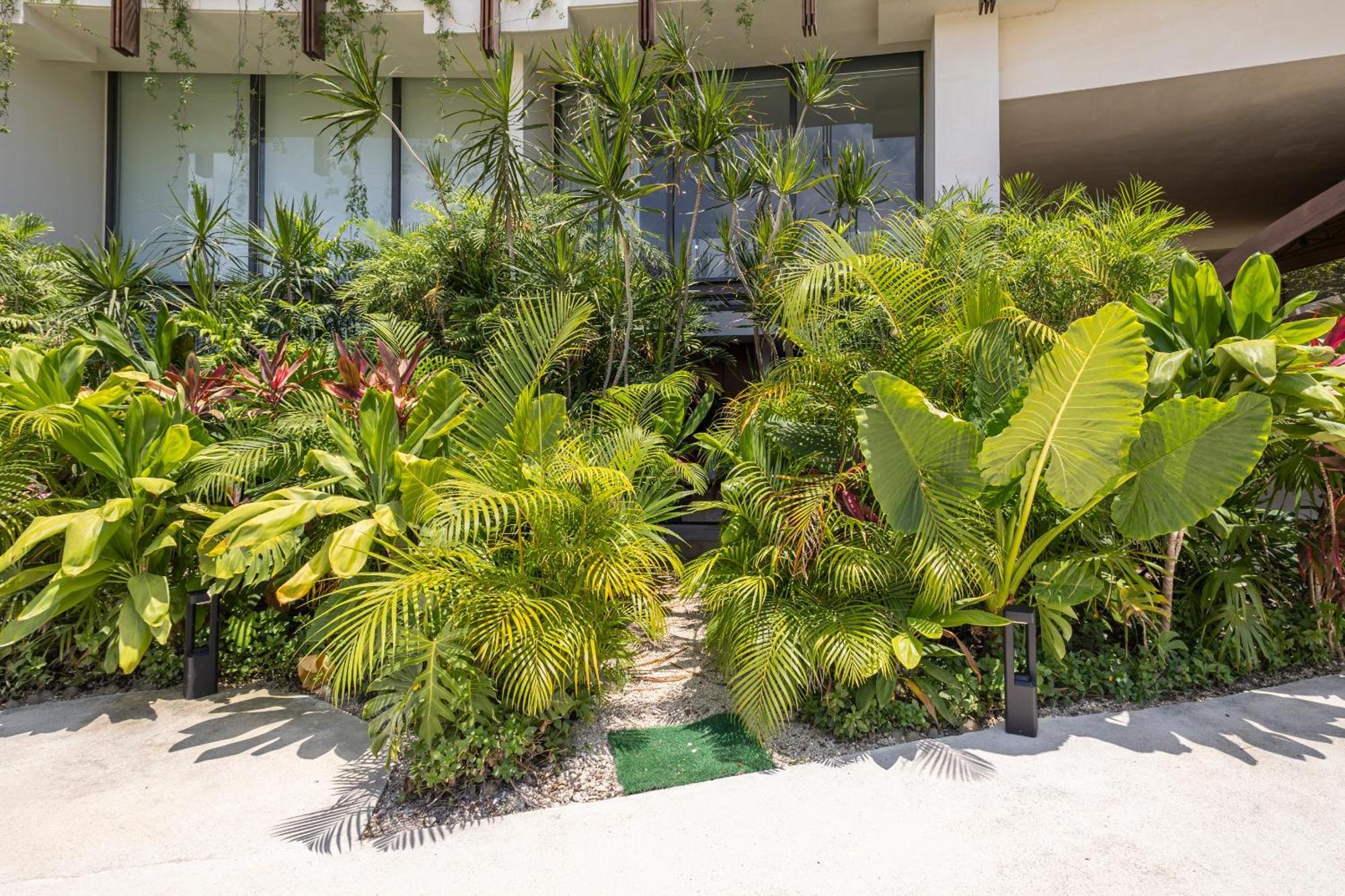 Apartmán Mistiq Gardens Tulum Exteriér fotografie