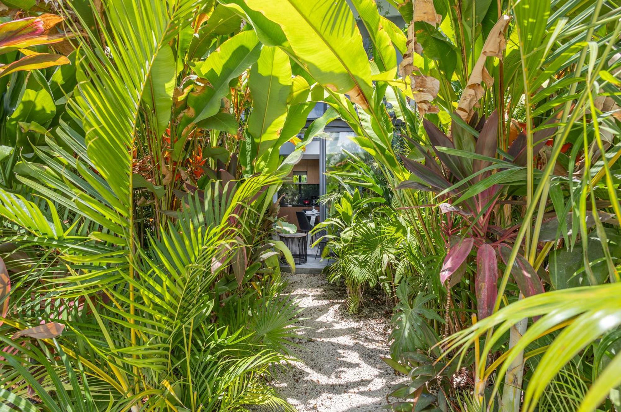 Apartmán Mistiq Gardens Tulum Exteriér fotografie