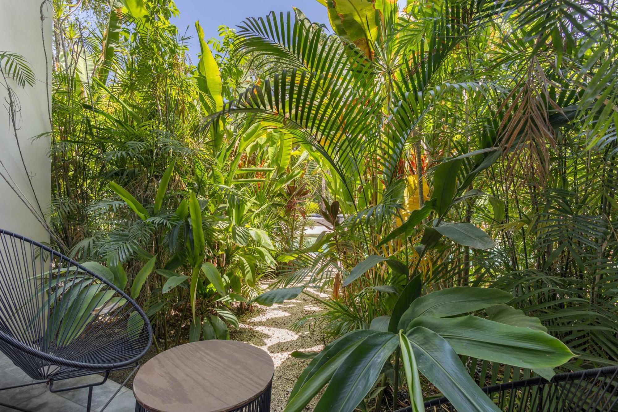 Apartmán Mistiq Gardens Tulum Exteriér fotografie